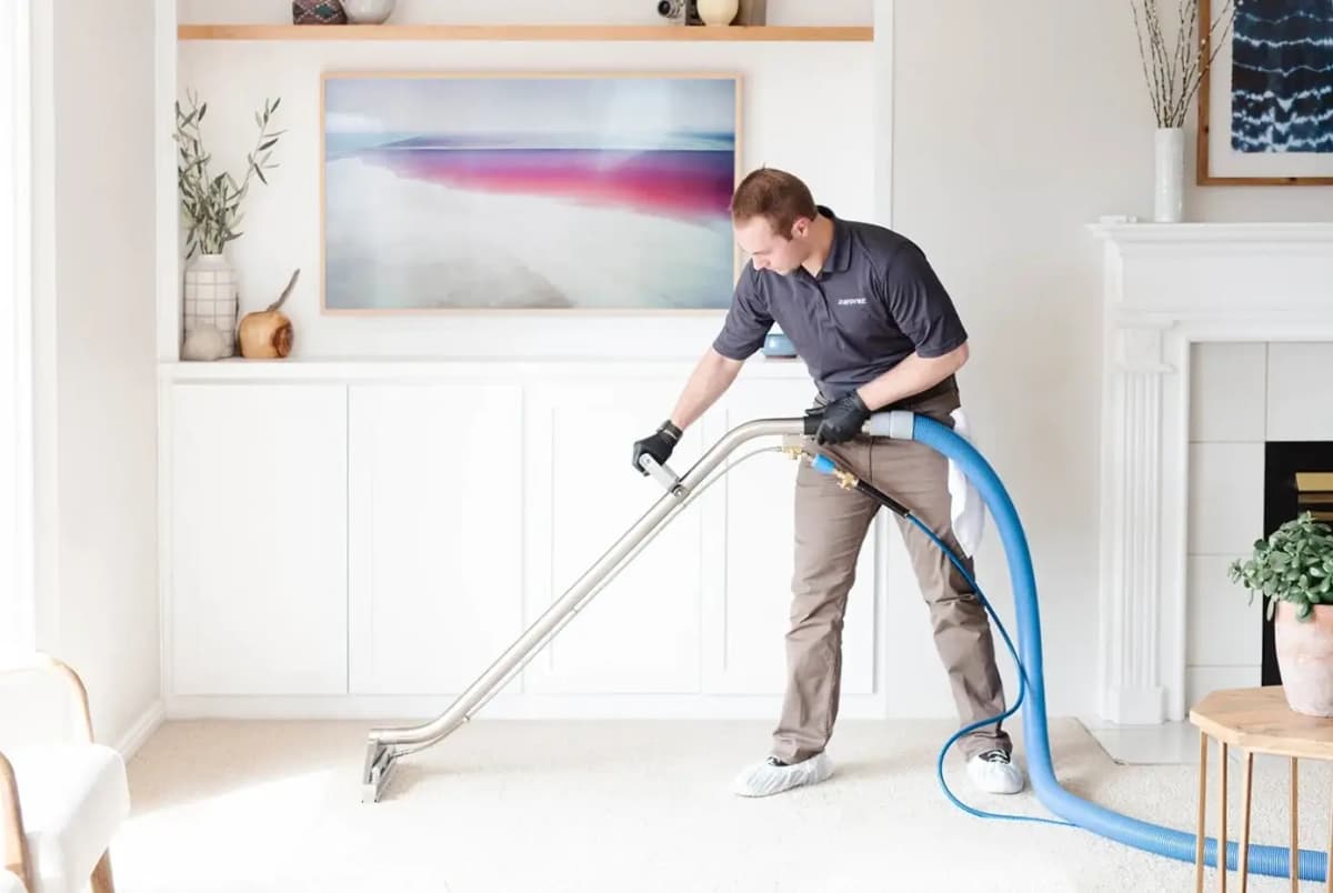 Carpet Cleaning